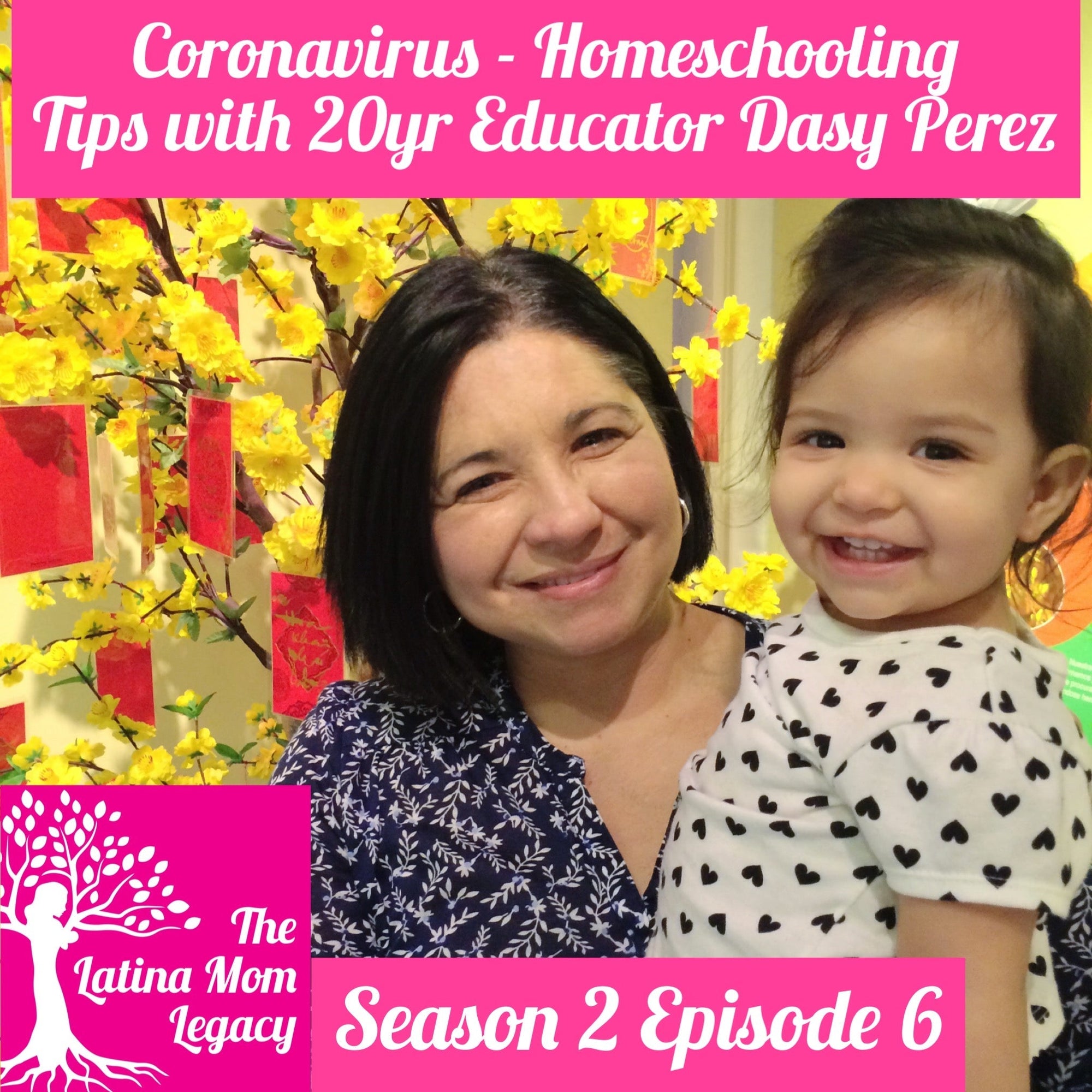 2.06 Coronavirus - Homeschooling Tips From 20 Year Experienced Preschool Teacher Dasy Perez and What You Can Do at Home with Your Young Child - Mi LegaSi