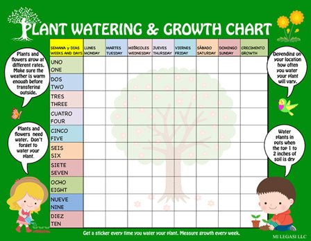 Mi LegaSi Bilingual Plant Watering and Growth Chart for Download - Mi LegaSi